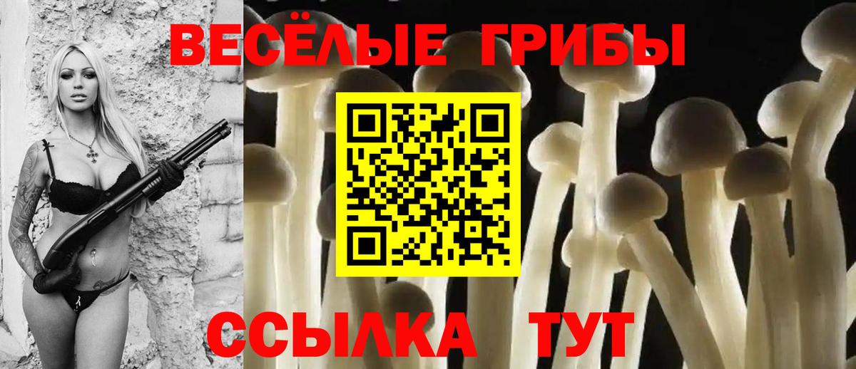 Лениногорск  Псилоцибиновые грибы мицелий  сколько стоит  Вход с VPN 